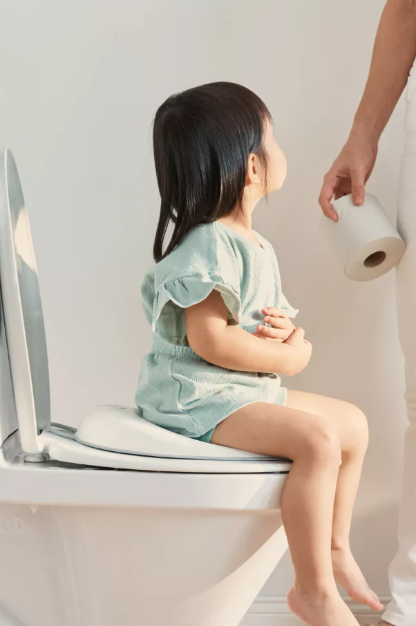 Babybjorn Redutor de Sanita Branco Cinza